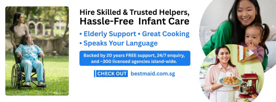 Demo Maid Agency logo