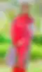 Blurred helper photo preview