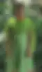 Blurred helper photo preview
