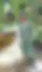 Blurred helper photo preview