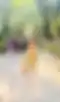 Blurred helper photo preview