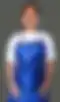 Blurred helper photo preview