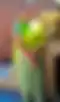Blurred helper photo preview