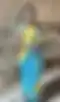 Blurred helper photo preview