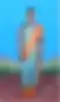 Blurred helper photo preview