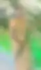 Blurred helper photo preview